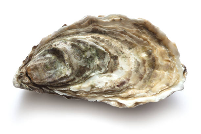 Ostruskel